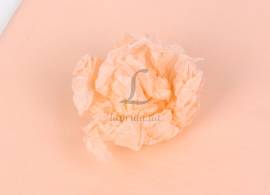 gallery thumb image