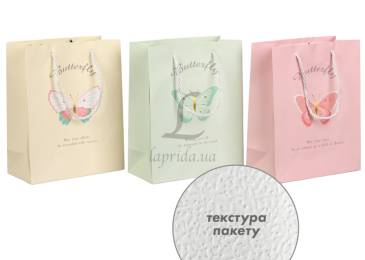Подарунковий пакет (24,5*19,5*9,5см) 3123-11139