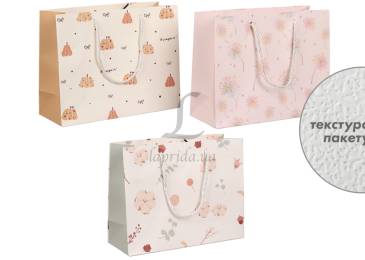 Подарунковий пакет (24,5*19,5*9,5см) 3123-11184