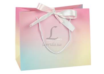 Подарунковий пакет (25*20*12см) 3123-12907