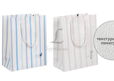Подарочный пакет (24,5*19,5*9,5см) 3123-10804