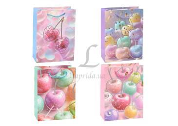 Подарунковий пакет (18*24*8,5см) 3123-11825