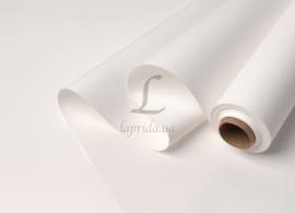 Калька двостороння ( #25) в рулоні (0,6м*20м) 60мкм 255-7519