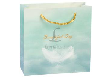 Подарочный пакет (20*8*20см) 3123-13201