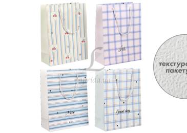 Подарунковий пакет (33*25*11,5см) 3123-11030