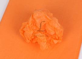 gallery thumb image