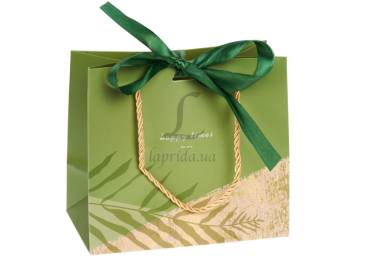 Подарунковий пакет (18*16*10см) 3123-12983