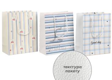 Подарочный пакет (24,5*19,5*9,5см) 3123-10767