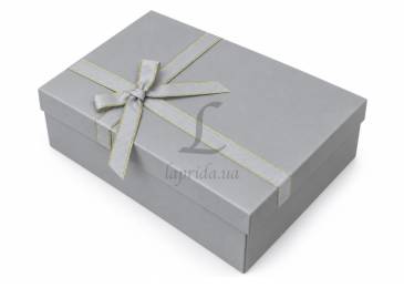 Подарункова коробка срібло (29*22*10см) 73-6648