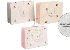 Подарунковий пакет (24,5*19,5*9,5см) 3123-11177