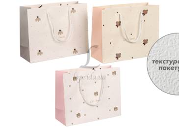 Подарунковий пакет (24,5*19,5*9,5см) 3123-11177