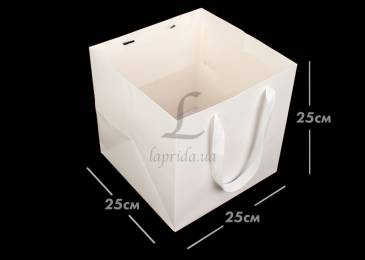 Пакет картонный (25*25*25см) белый 3123-9082