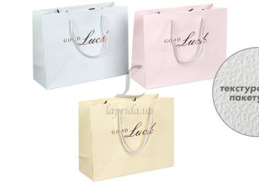 Подарунковий пакет (24,5*19,5*9,5см) 3123-11221