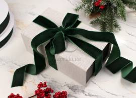 Стрічка оксамитова 25мм-22, 8м(165) 581-147