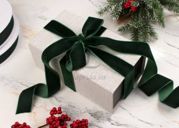 Стрічка оксамитова 25мм-22, 8м(165) 581-147