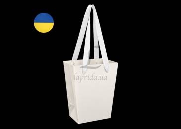 Пакет-переноска (30*26*21см) айворі 255-9346