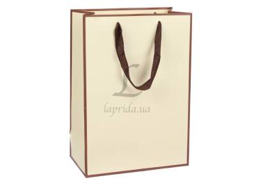 Пакет картонный вертикальный (20*9,5*28см) 210г/м² 3123-4544