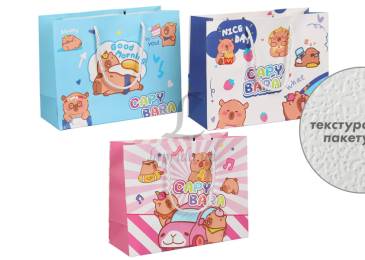 Подарунковий пакет (25,4*20*9,5см) 3123-11078