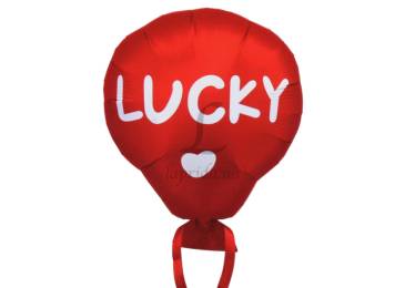 Воздушный шар "Lucky" 5-89000
