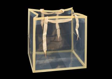 Плайм пакет бежевий (25*25*22см) 3123-11719