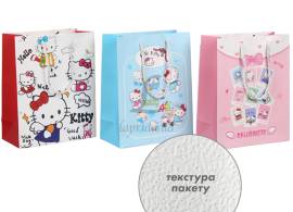 Подарунковий пакет (24,5*19,5*9,5см) 3123-10811