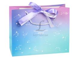Подарочный пакет (25*10*20см) 3123-13256