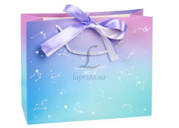 Подарочный пакет (25*10*20см) 3123-13256