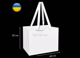 Пакет-переноска для квітів (300*400*270см) білий 255-9360