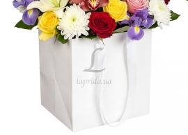 Пакет картонний вертикальний белый (24,5*25*28см) 210гр/м² 255-9032