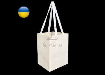 Пакет переноска (25*25*35см) айворі 255-9452