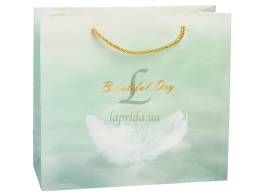 Подарочный пакет (30*12*27см) 3123-13218