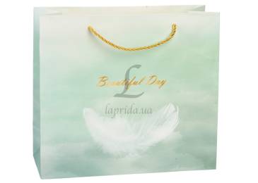 Подарочный пакет (30*12*27см) 3123-13218