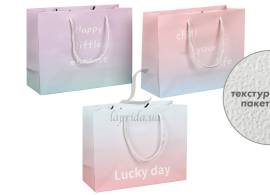 Подарочный пакет (24,5*19,5*9,5см) 3123-11207