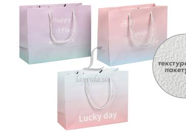 Подарунковий пакет (24,5*19,5*9,5см) 3123-11207
