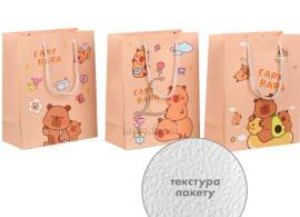 Подарунковий пакет (24,5*19,5*9,5см) 3123-11146