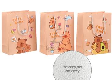 Подарунковий пакет (24,5*19,5*9,5см) 3123-11146