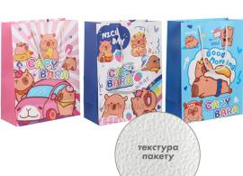 Подарунковий пакет (24,5*19,5*9,5см) 3123-10828