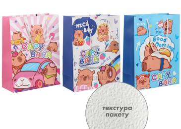 Подарунковий пакет (24,5*19,5*9,5см) 3123-10828