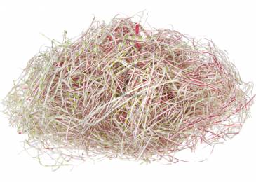 Наполнитель бумажный для коробок (50г) 251-13224