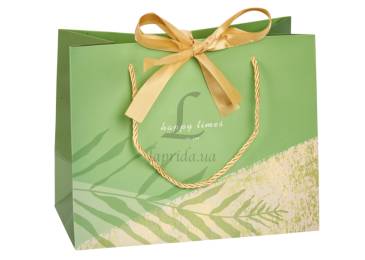 Подарунковий пакет (25*20*12см) 3123-12990