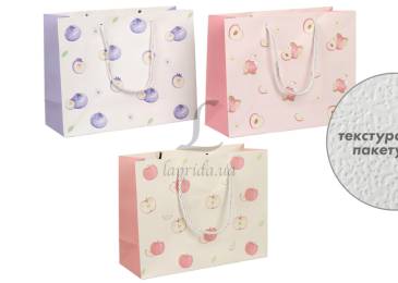 Подарунковий пакет (24,5*19,5*9,5см) 3123-11191